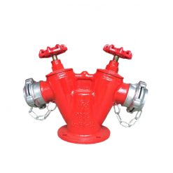 Trụ cứu hỏa 2 cửa